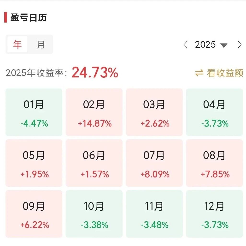 [总结2025]跑赢指数，但操作全是“败笔”